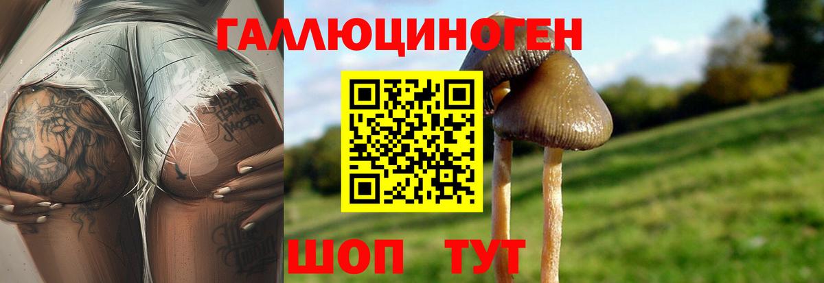 Галлюциногенные грибы мухоморы Абакан
